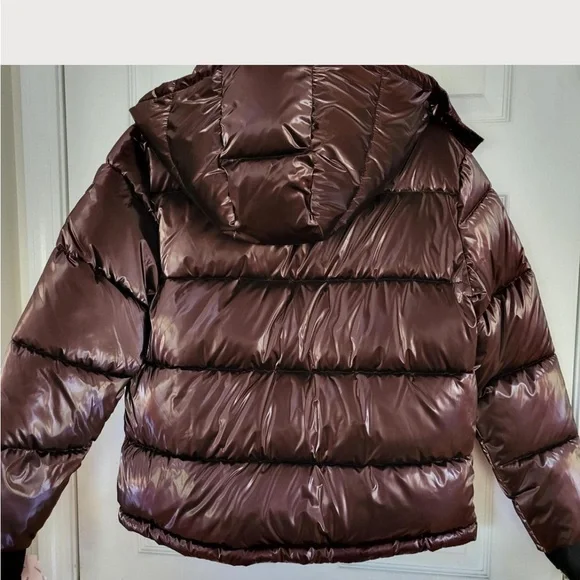 BCBGeneration Feather-Free Maroon/Brown Jacket - Picture 3 of 11